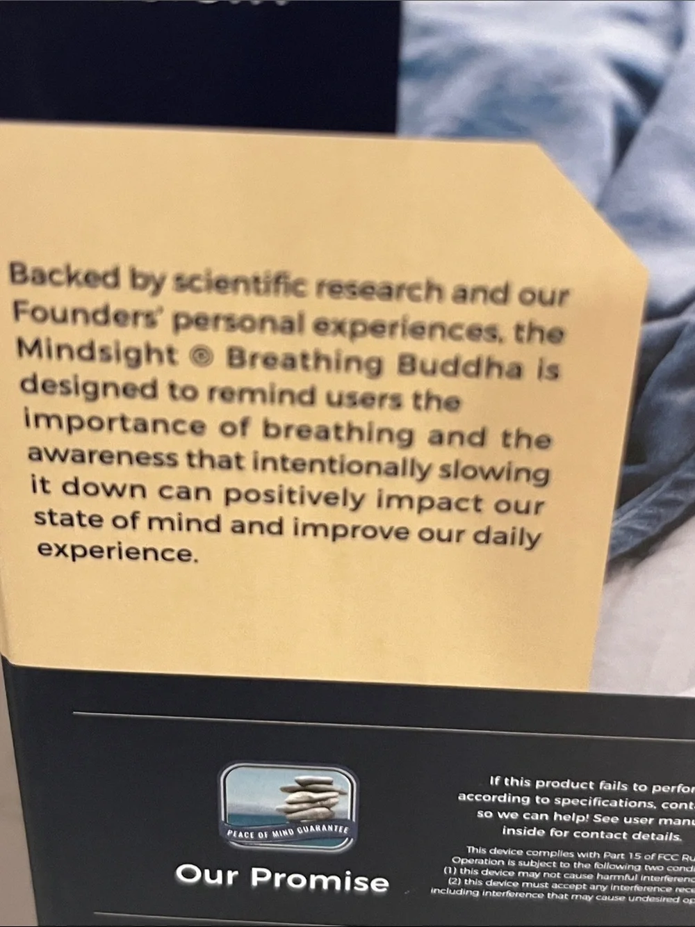 Mindsight breathing buddha